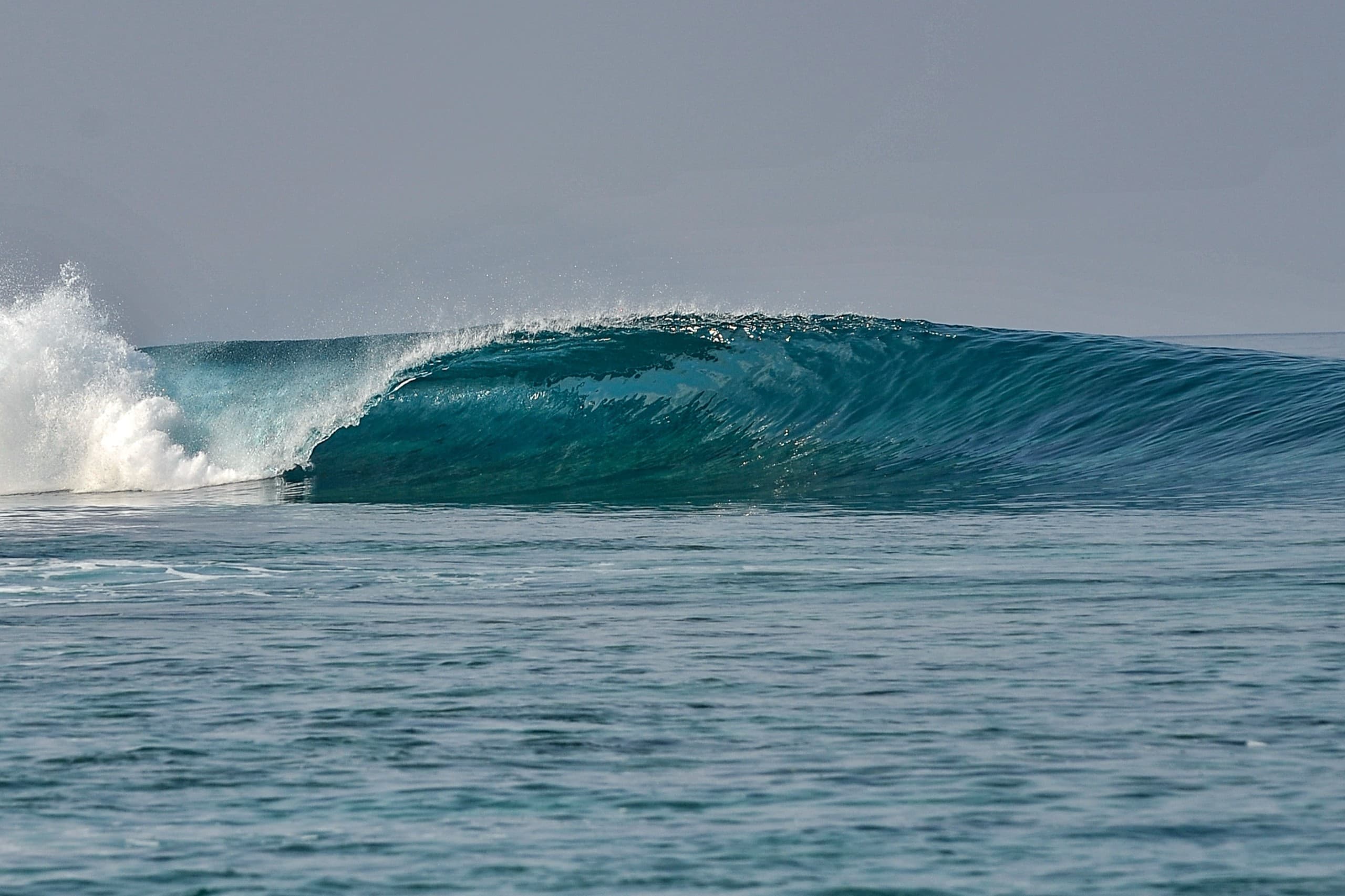 SURF IN MALDIVES