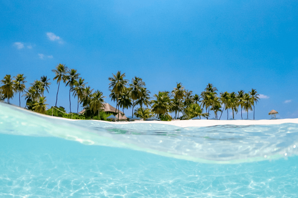 Half underwater view of tropical island beach with palm trees and crystal clear water in Maldives